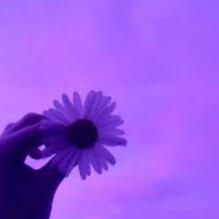 purple flower
